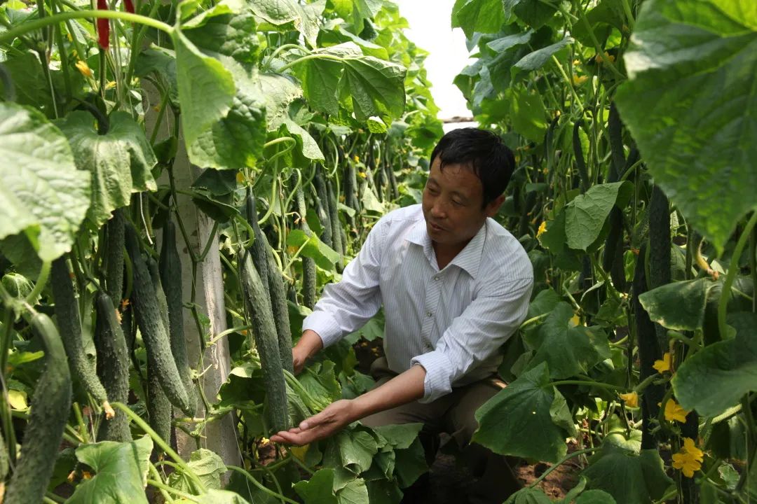 微信图片_20230206104703