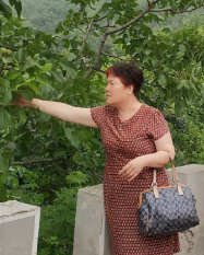 樊春芬