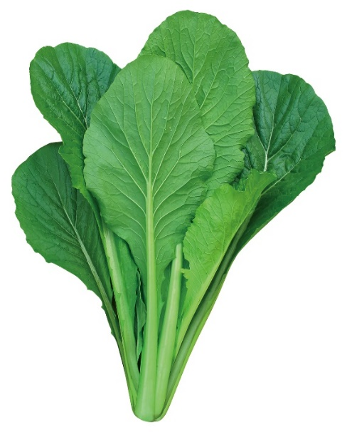 10 10