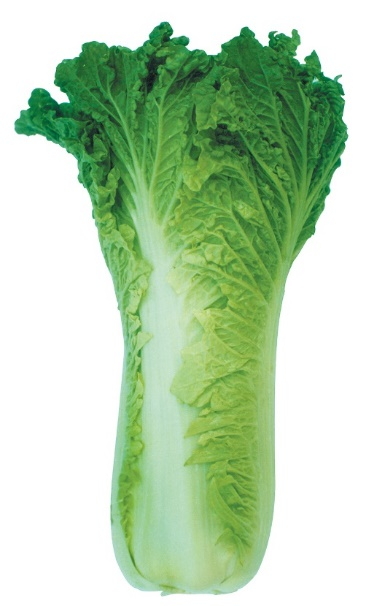 3 3