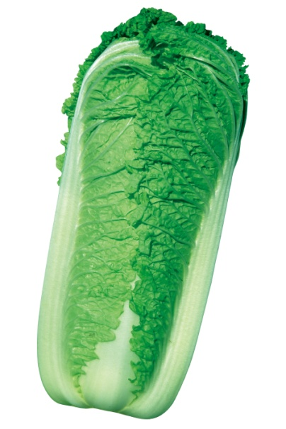 6 6