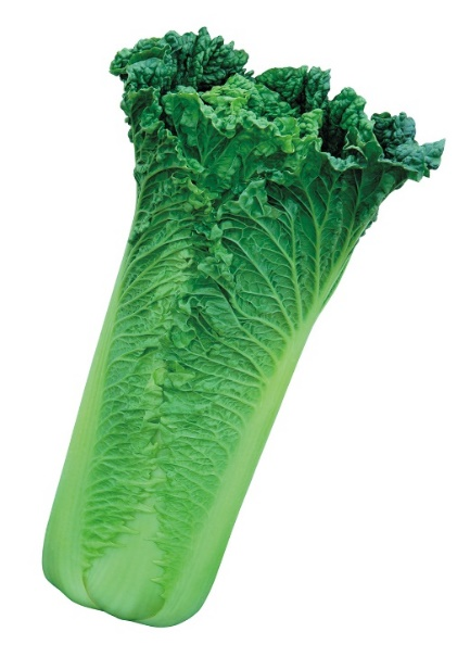 5 5