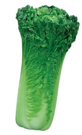 4 4