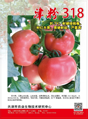 图片66 图片66