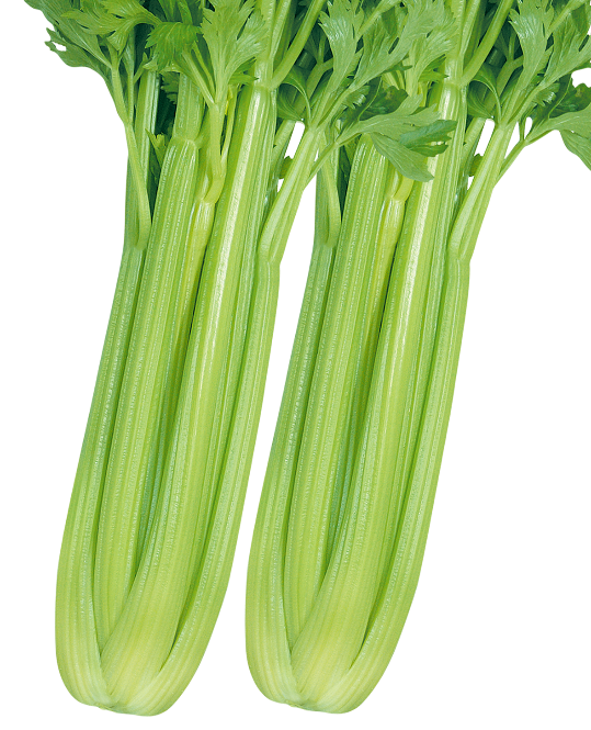 5 5