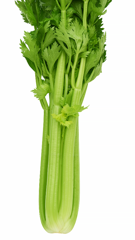1 1