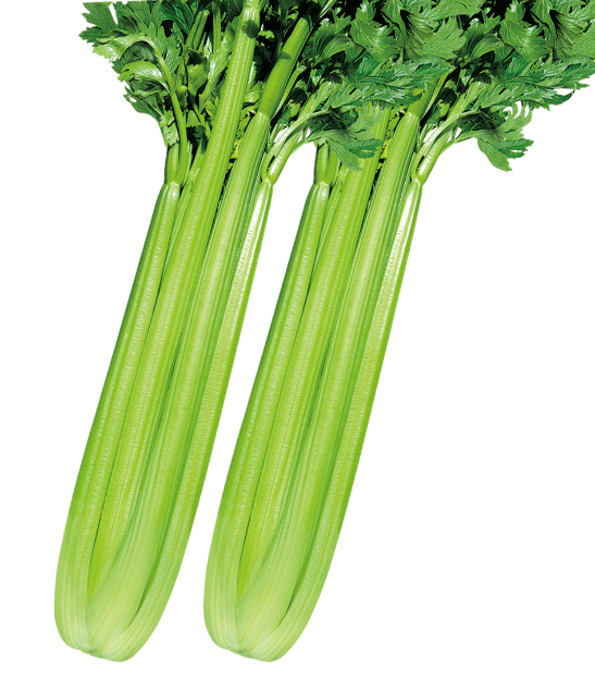 2 2