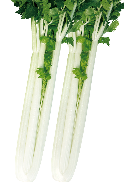 7 7