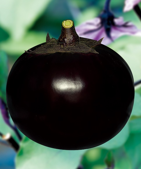 ͼƬ46