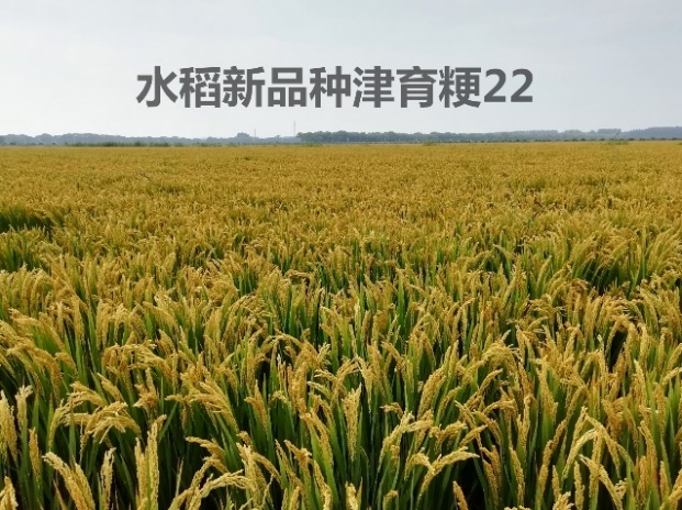 图片77 图片77