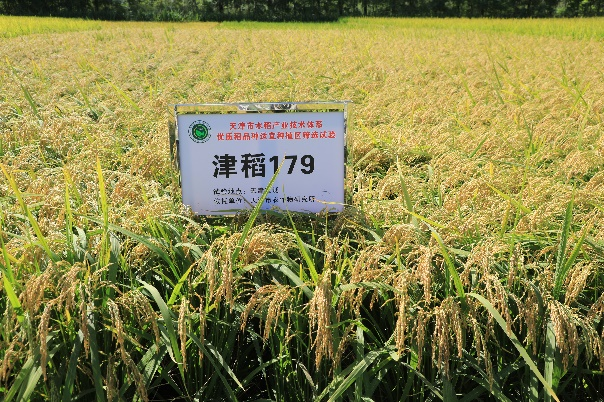 图片74 图片74