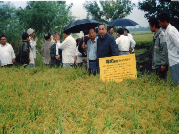 图片78 图片78