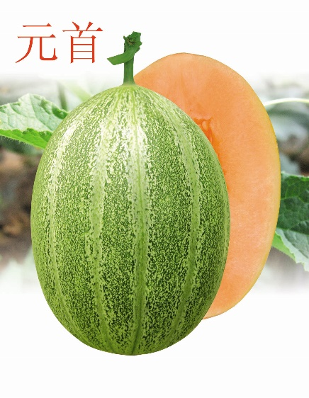 ͼƬ38