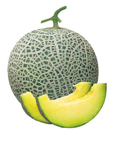 ͼƬ36