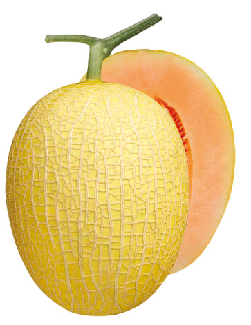 ͼƬ35