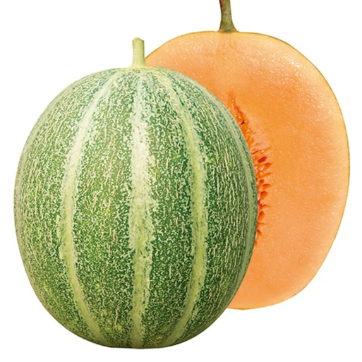 ͼƬ34