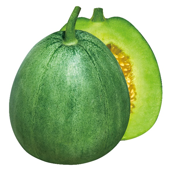 ͼƬ41