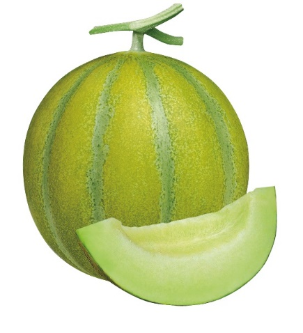 ͼƬ33