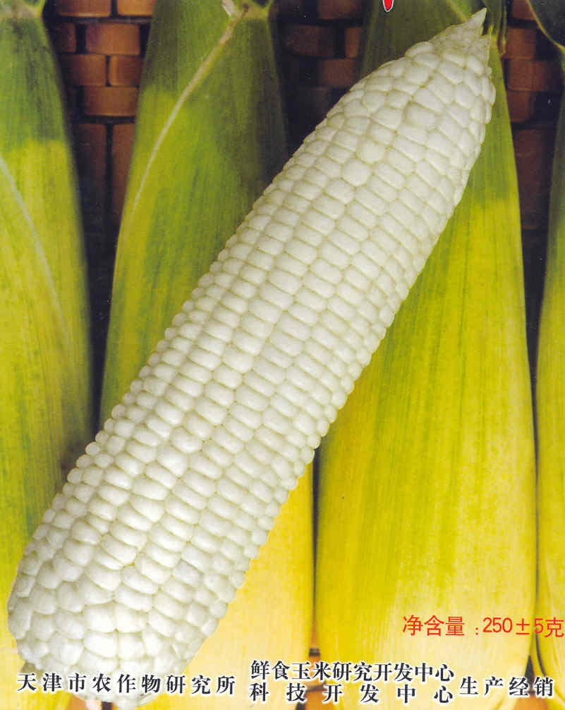 ͼƬ84