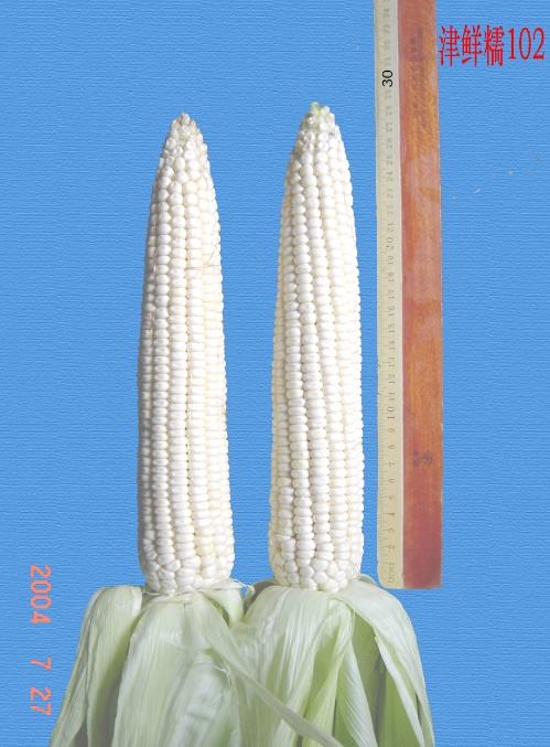 ͼƬ86