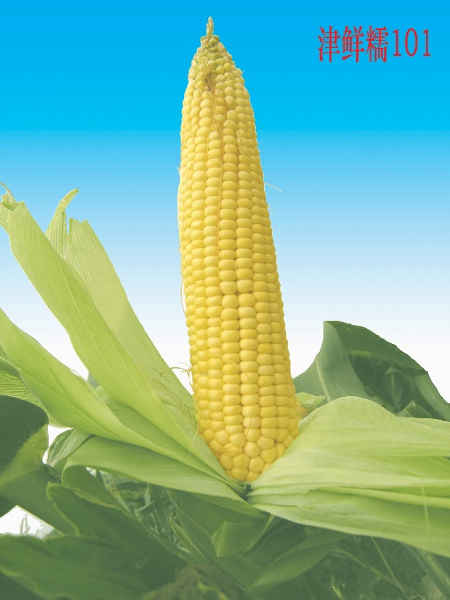 ͼƬ85