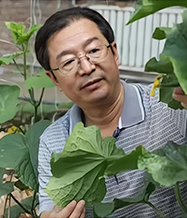韩毅科