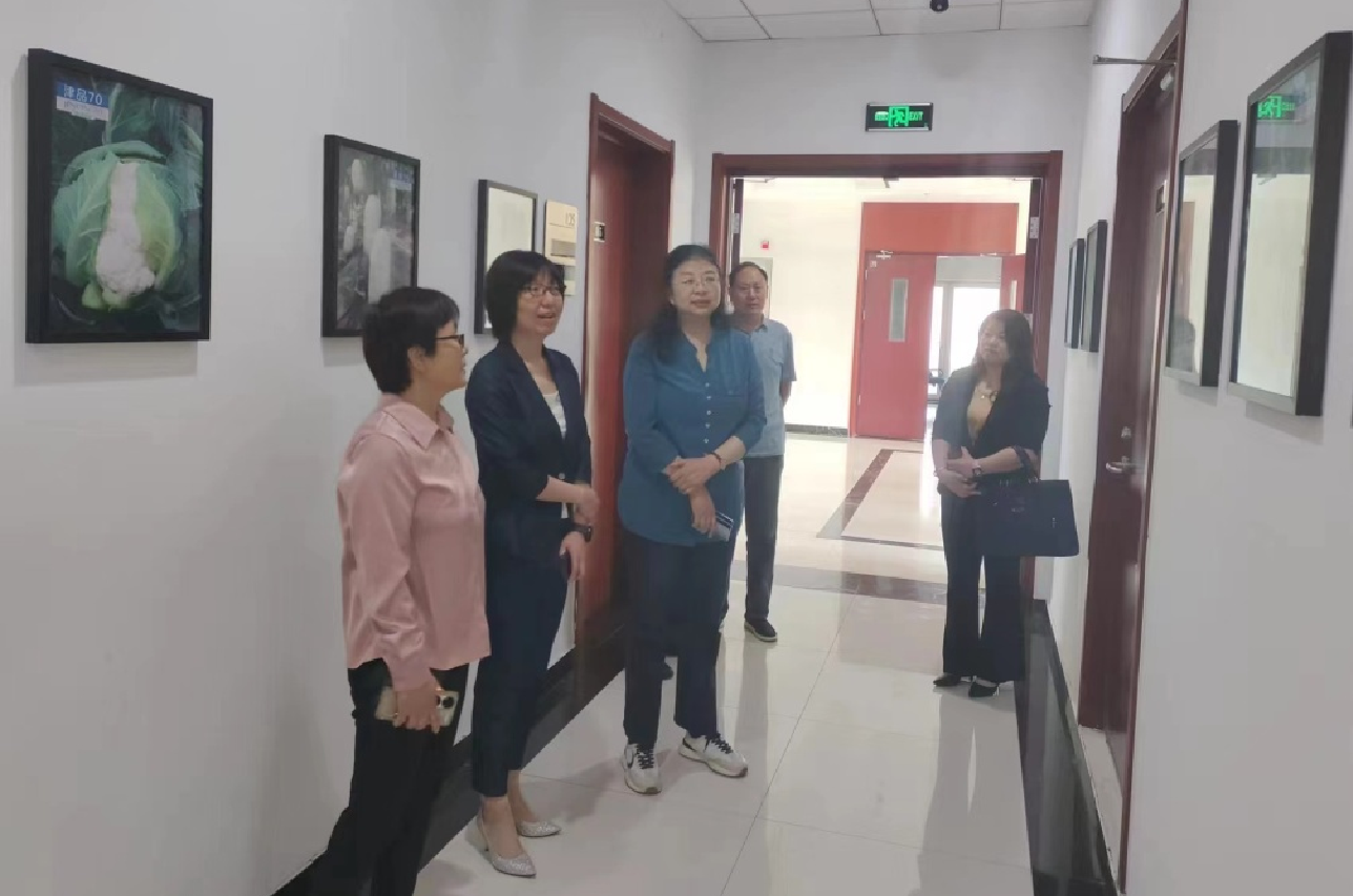 QQ截图20230517084613 QQ截图20230517084613